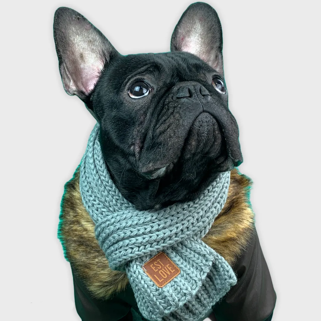 Winter Scarf for French Bulldog