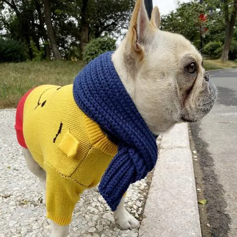 Winter Scarf for French Bulldog